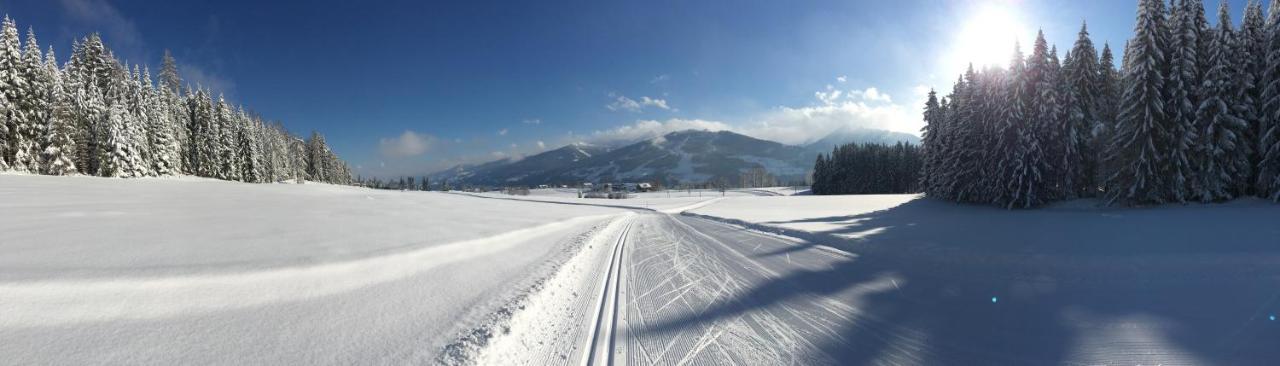 Landhaus Luehrmann Ramsau am Dachstein Εξωτερικό φωτογραφία